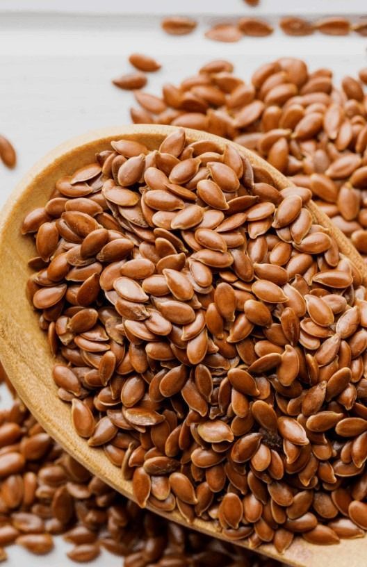 Why Gut Health Matters | The Hidden Engine Behind Your Wellness