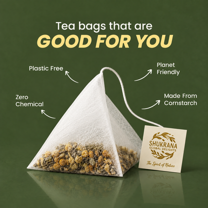 Bye Bye Bloat — Caffeine-Free Seed Tea for Bloating, Digestion & Gut Health